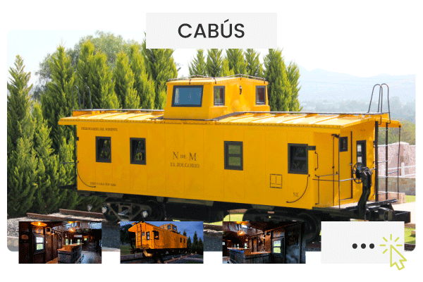 01cabus